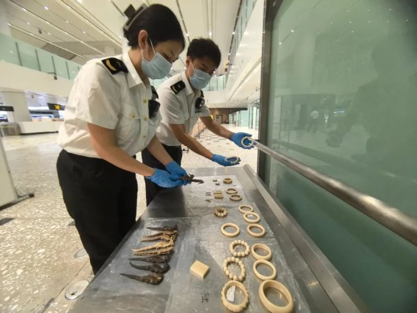 股票配资证券 我查完你的查你的，关关心里有数，控场能力非常强
